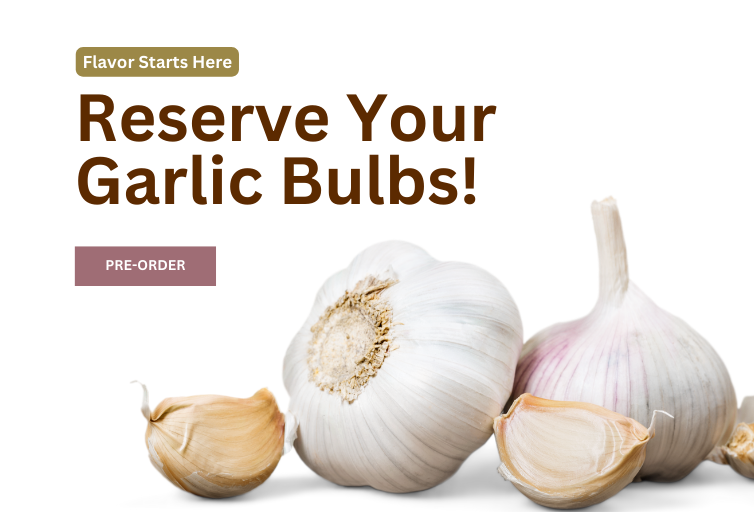 Garlic Seed